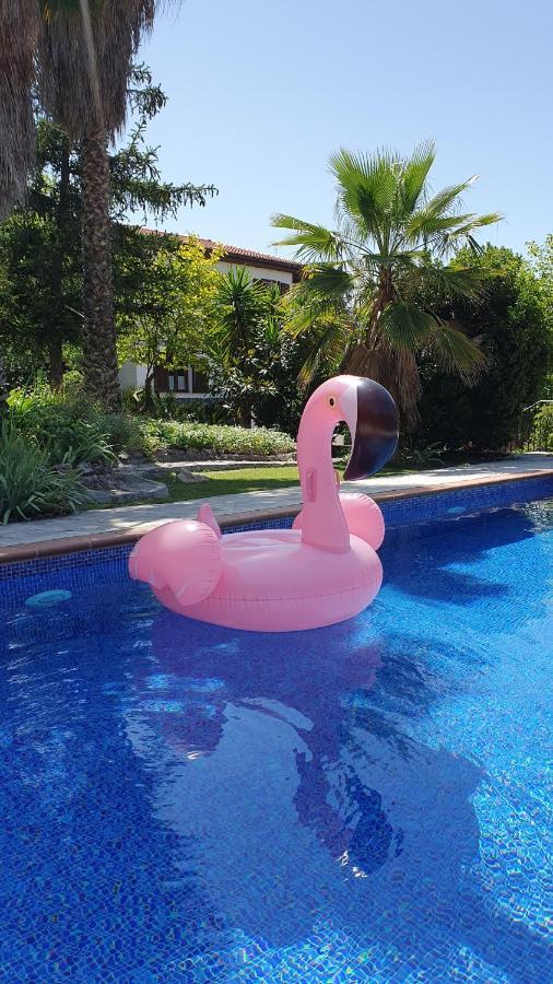 Casa Flamencos *