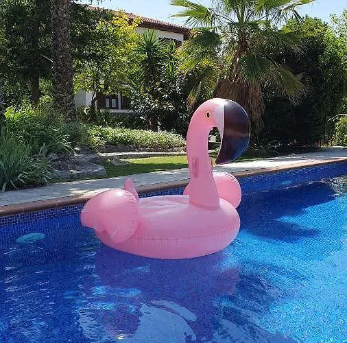Casa Los Flamencos